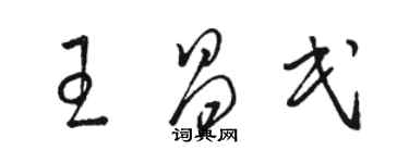 骆恒光王昌民草书个性签名怎么写