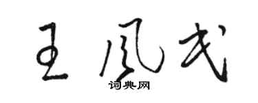 骆恒光王风民草书个性签名怎么写