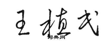 骆恒光王植民草书个性签名怎么写