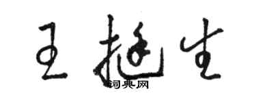骆恒光王挺生草书个性签名怎么写