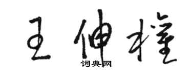 骆恒光王伸权草书个性签名怎么写