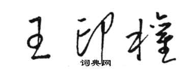 骆恒光王印权草书个性签名怎么写