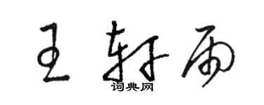 骆恒光王轩雨草书个性签名怎么写