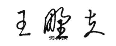 骆恒光王野夫草书个性签名怎么写