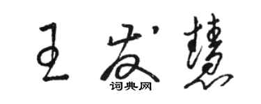 骆恒光王发慧草书个性签名怎么写