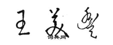 骆恒光王美丰草书个性签名怎么写