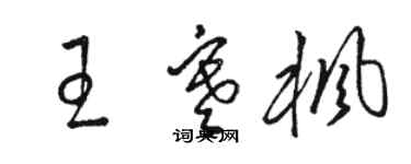 骆恒光王寒枫草书个性签名怎么写