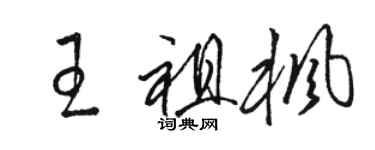 骆恒光王祖枫草书个性签名怎么写