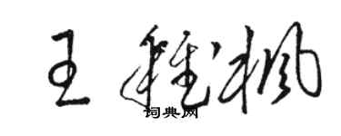 骆恒光王稚枫草书个性签名怎么写