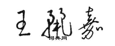 骆恒光王丽嘉草书个性签名怎么写
