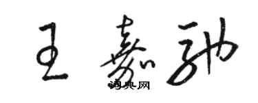骆恒光王嘉驰草书个性签名怎么写