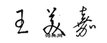 骆恒光王美嘉草书个性签名怎么写