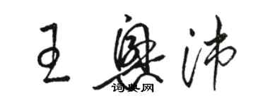 骆恒光王兴沛草书个性签名怎么写
