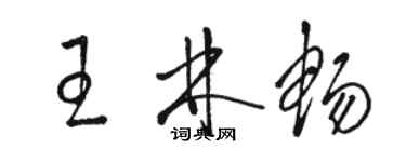 骆恒光王林畅草书个性签名怎么写