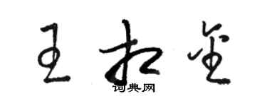 骆恒光王相金草书个性签名怎么写
