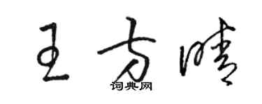 骆恒光王方晴草书个性签名怎么写