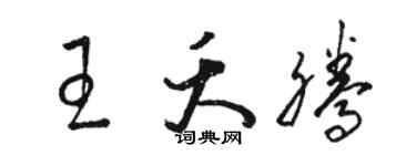 骆恒光王夭腾草书个性签名怎么写