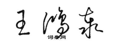 骆恒光王鸿泰草书个性签名怎么写