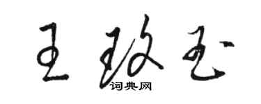 骆恒光王玫玉草书个性签名怎么写