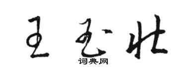 骆恒光王玉壮草书个性签名怎么写