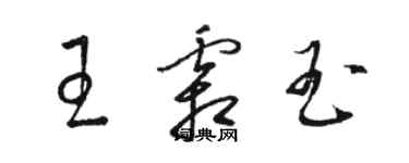 骆恒光王霜玉草书个性签名怎么写