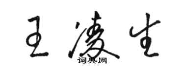 骆恒光王凌生草书个性签名怎么写