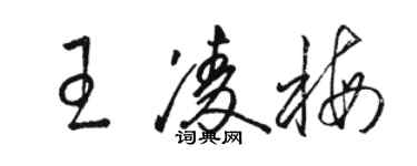 骆恒光王凌梅草书个性签名怎么写