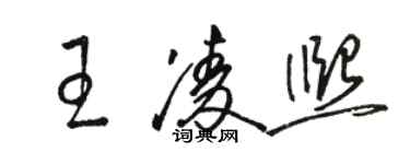 骆恒光王凌熙草书个性签名怎么写