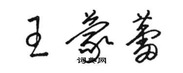骆恒光王蒙蕾草书个性签名怎么写