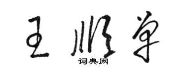 骆恒光王顺单草书个性签名怎么写