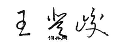 骆恒光王登峻草书个性签名怎么写
