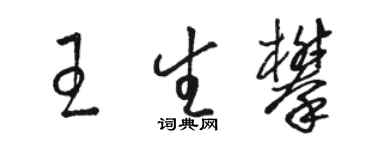 骆恒光王生攀草书个性签名怎么写