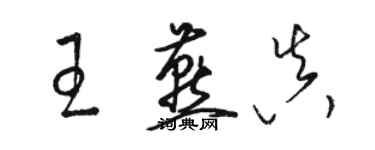 骆恒光王燕真草书个性签名怎么写