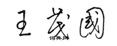 骆恒光王茂国草书个性签名怎么写