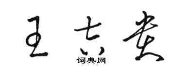 骆恒光王吉贵草书个性签名怎么写