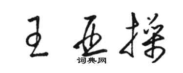 骆恒光王亚操草书个性签名怎么写