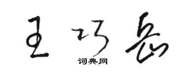 骆恒光王巧岳草书个性签名怎么写