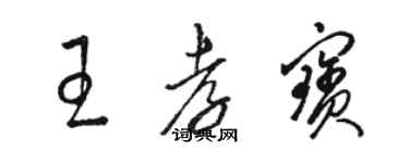 骆恒光王孝宝草书个性签名怎么写