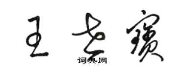 骆恒光王世宝草书个性签名怎么写
