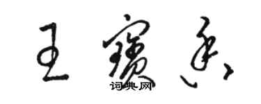 骆恒光王宝香草书个性签名怎么写