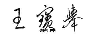 骆恒光王宝举草书个性签名怎么写