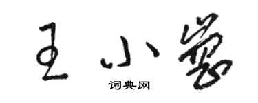 骆恒光王小岗草书个性签名怎么写