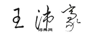 骆恒光王沛豪草书个性签名怎么写