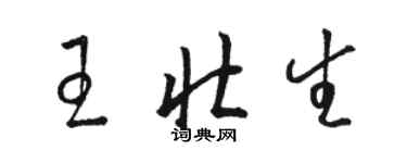 骆恒光王壮生草书个性签名怎么写