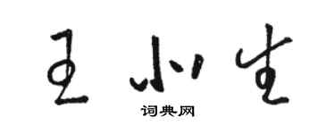 骆恒光王北生草书个性签名怎么写