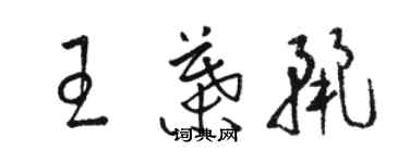 骆恒光王叶丽草书个性签名怎么写