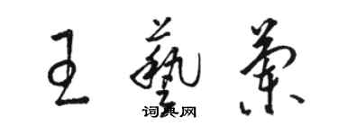 骆恒光王艺兰草书个性签名怎么写