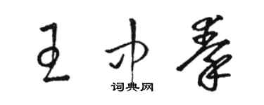 骆恒光王中秦草书个性签名怎么写