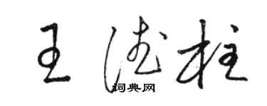 骆恒光王德柱草书个性签名怎么写