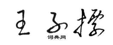 骆恒光王子标草书个性签名怎么写